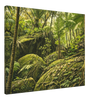dd5661c5-9632-474f-b8b9-95bc33e1c90f