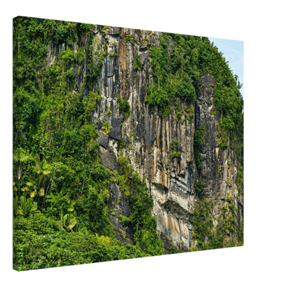 ddc3fcbb-365f-44ff-b52d-b9b6bc7c61ee
