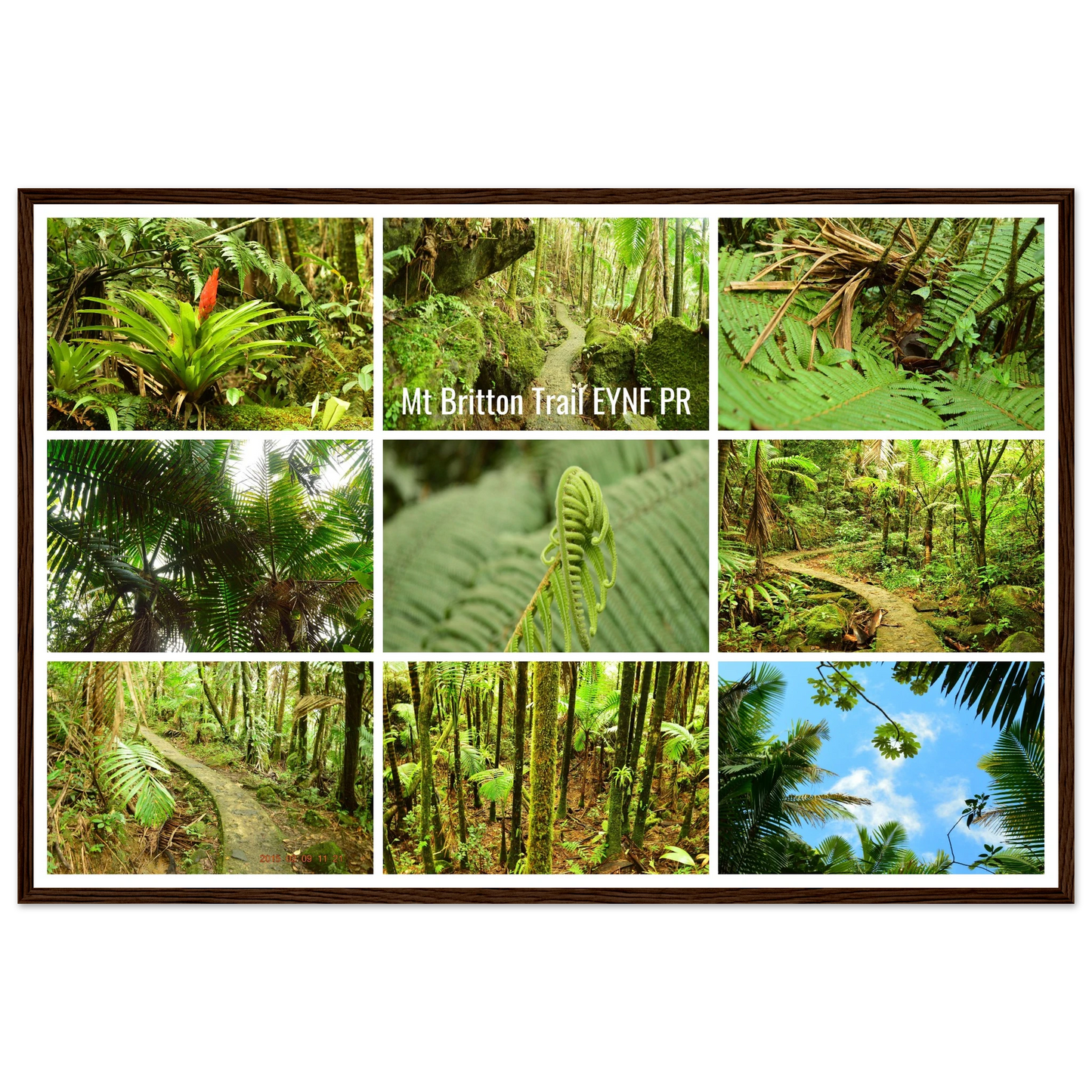 e6520774-14d7-4109-bcce-d3938858d661