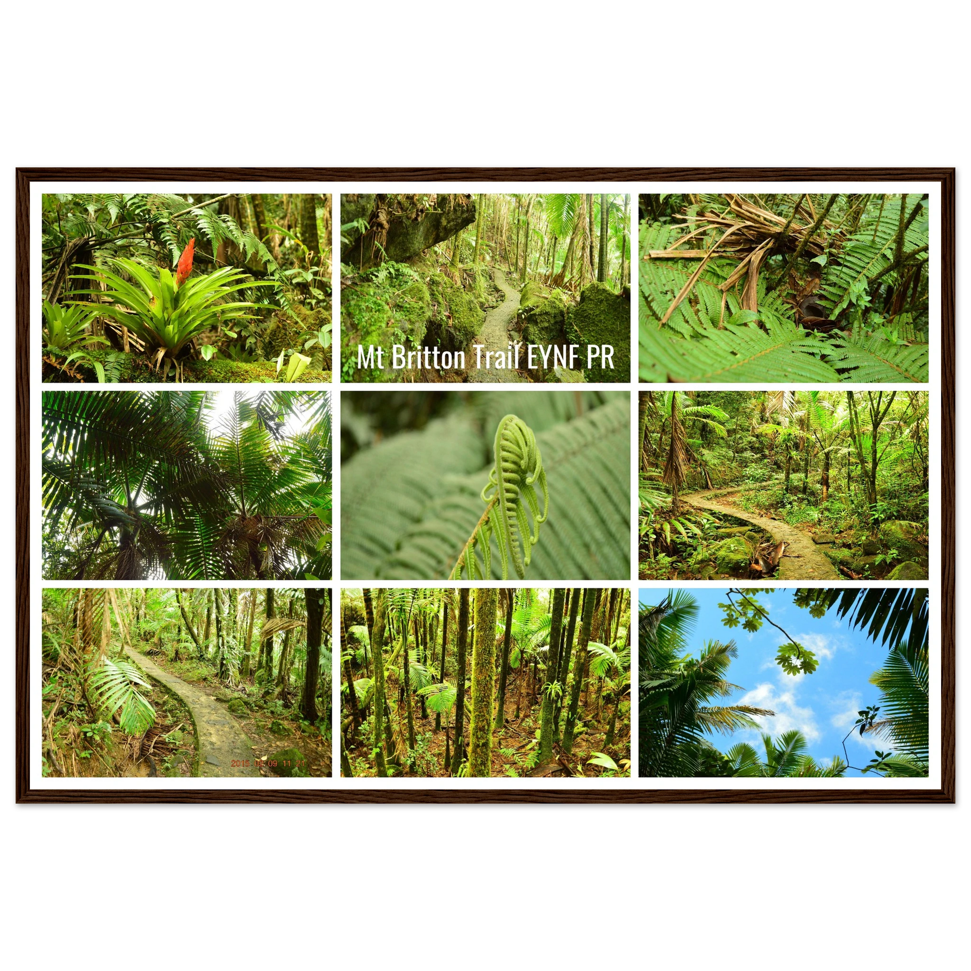 e6520774-14d7-4109-bcce-d3938858d661