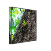 e81e7120-11e3-4772-98df-dacd5d37b553