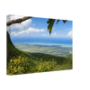 e9decd1f-c703-4f58-897d-228d3d3bfe23