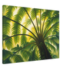 ed099aa1-3604-4f3b-b47d-e27f3df20f86