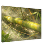 ef8e8a4e-2a62-4a4c-8710-ba1a930736d7