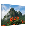 f8716c2b-8111-4947-8e13-66fd59415aff