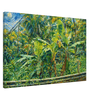 ff45c79b-cf68-4f50-bf34-6f69771ed263