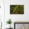 ff6a9ac1-1dbd-4f9b-8770-f1c3f42ebdf2