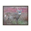 Horizontal Framed Premium Gallery Wrap Canvas - Celebrating the Great Smoky Mountain National Park