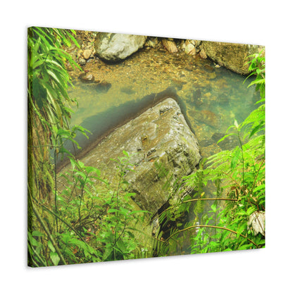EYNF - Canvas Gallery Wraps - The Magic pond in La Mina river and trail - El Yunque PR - before Hurricane Maria