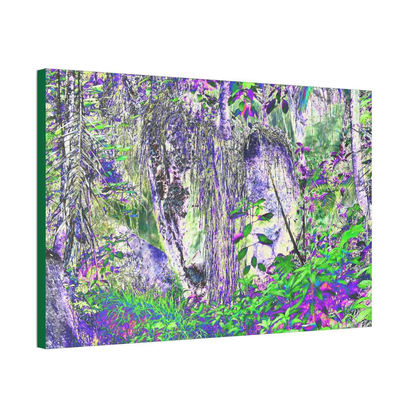 Canvas Stretched - Forest@Home - El Yunque - Amazing Sierra Palm grows in boulder with long roots comming down - Tradewinds