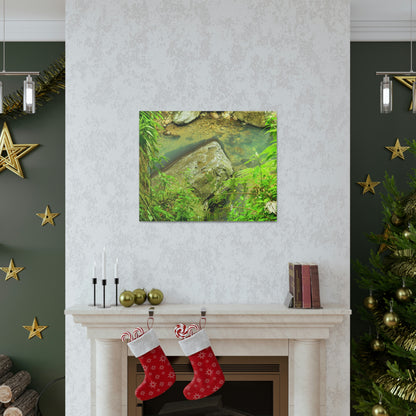 EYNF - Canvas Gallery Wraps - The Magic pond in La Mina river and trail - El Yunque PR - before Hurricane Maria