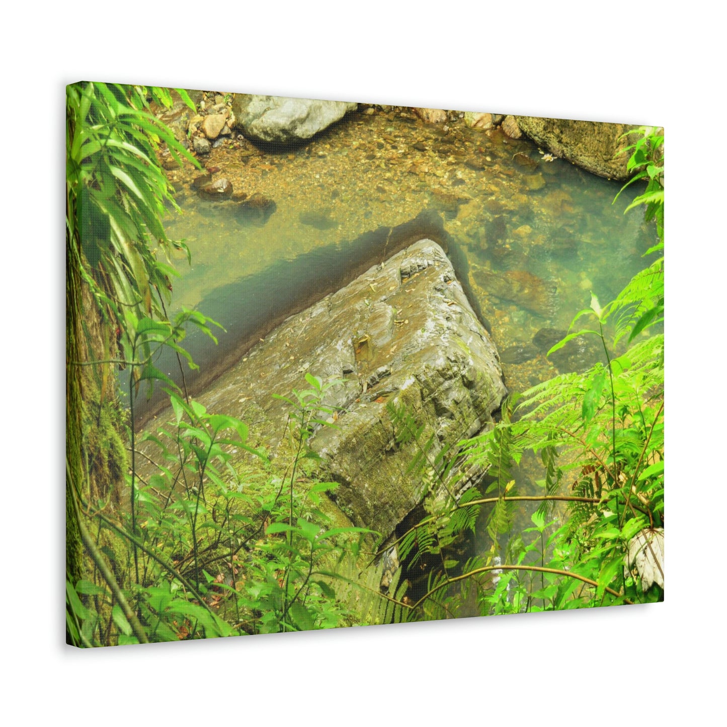 EYNF - Canvas Gallery Wraps - The Magic pond in La Mina river and trail - El Yunque PR - before Hurricane Maria
