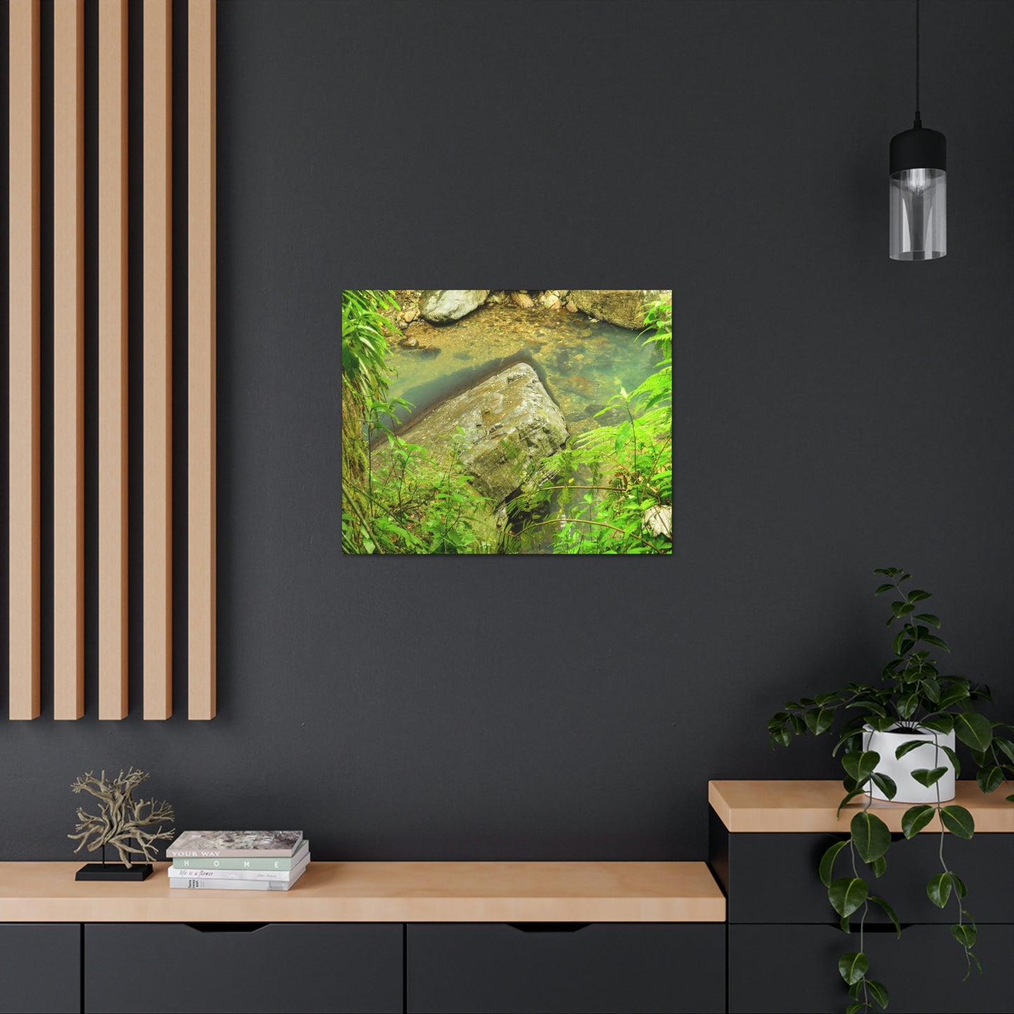 EYNF - Canvas Gallery Wraps - The Magic pond in La Mina river and trail - El Yunque PR - before Hurricane Maria