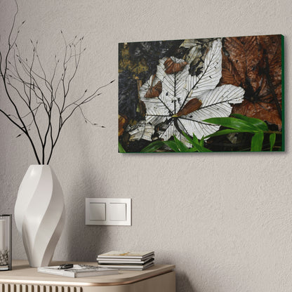 Canvas Stretched - Forest@Home - El Yunque - Recovering from Hurricane Maria - Fallen Yagrumo leafs - their two sides - Tradewinds