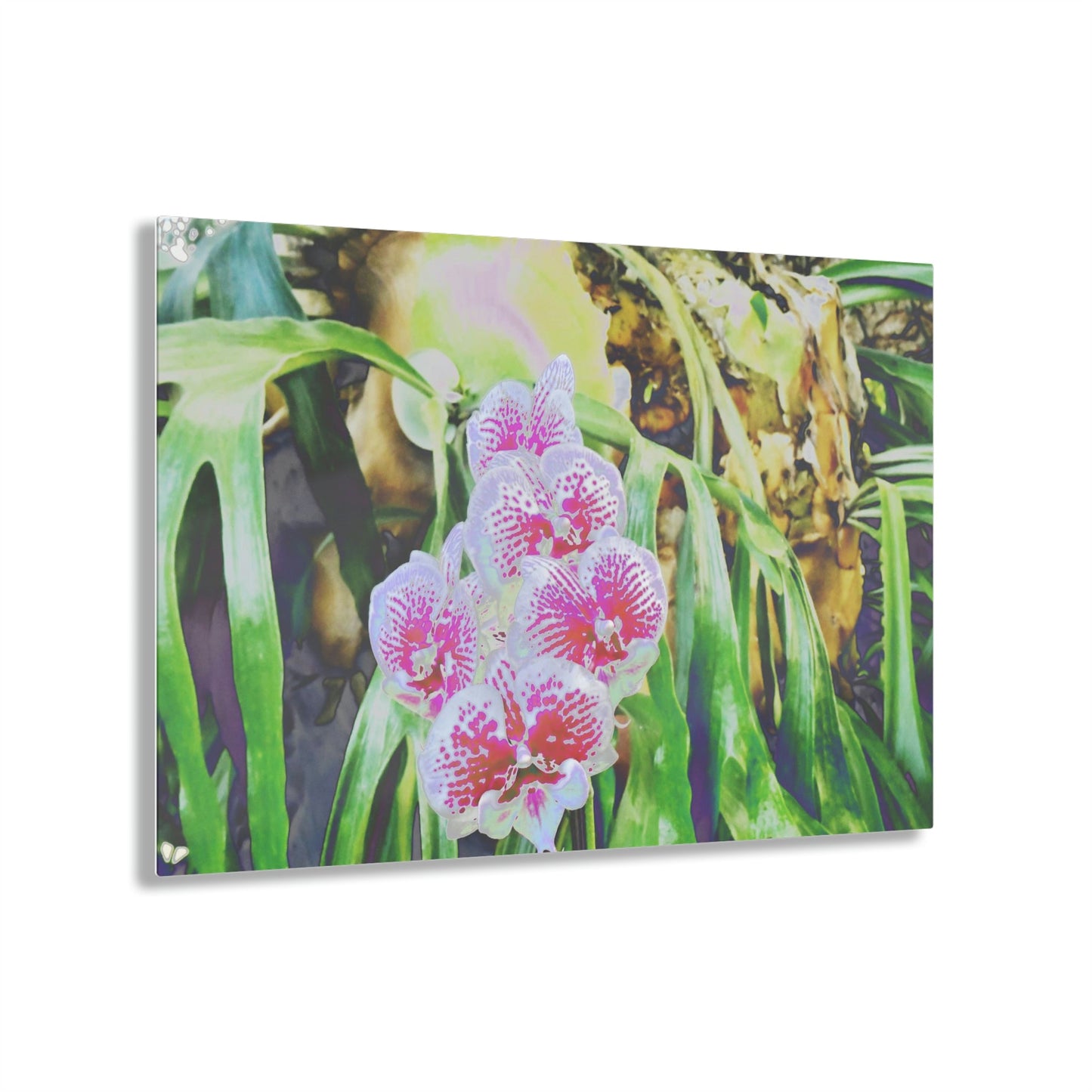 Acrylic Prints - Amazing Tropical Orchids Digital ART - with rare Cuernos Plant in background - Puerto Rico - Made in USA - Green Forest Home