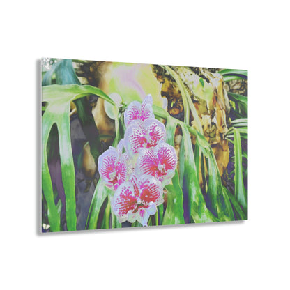 Acrylic Prints - Amazing Tropical Orchids Digital ART - with rare Cuernos Plant in background - Puerto Rico - Made in USA - Green Forest Home