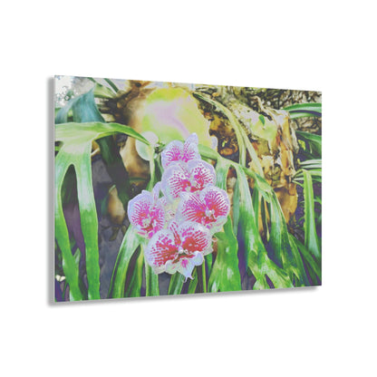Acrylic Prints - Amazing Tropical Orchids Digital ART - with rare Cuernos Plant in background - Puerto Rico - Made in USA - Green Forest Home