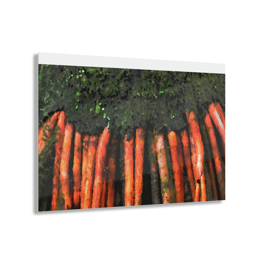Acrylic Prints - US Made - Ideal for a Stunning Home/Office Decor Ideas - El Yunque - Closeup of The Strong Roots of the Sierra Palm that can survive hurricanes - CCMM* - Green Forest Home