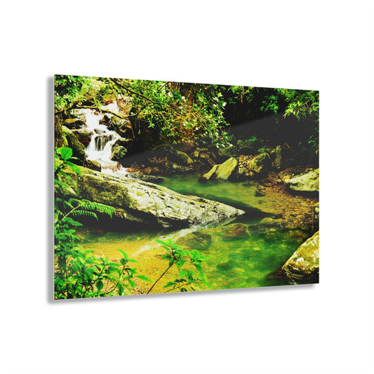 Acrylic Prints - US Made - Ideal for a Stunning Home/Office Decor Ideas - El Yunque - La Mina Trail and River - CCMM* - Green Forest Home