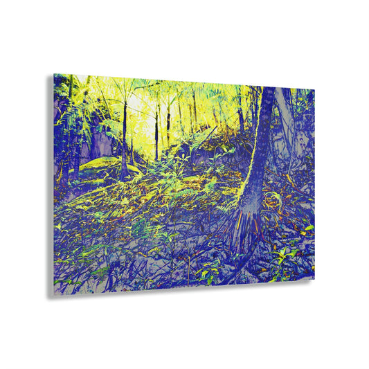 Acrylic Prints - US Made - Ideal for a Stunning Home/Office Decor Ideas - El Yunque - Landslide in Holy Spirit River - Sierra palm on boulder - CCMM* - Green Forest Home