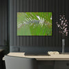 Acrylic Prints - US Made - Ideal for a Stunning Home/Office Decor Ideas - El Yunque Rainforest - In Mt Britton trail road Sierra Palms - CCMM* - Green Forest Home