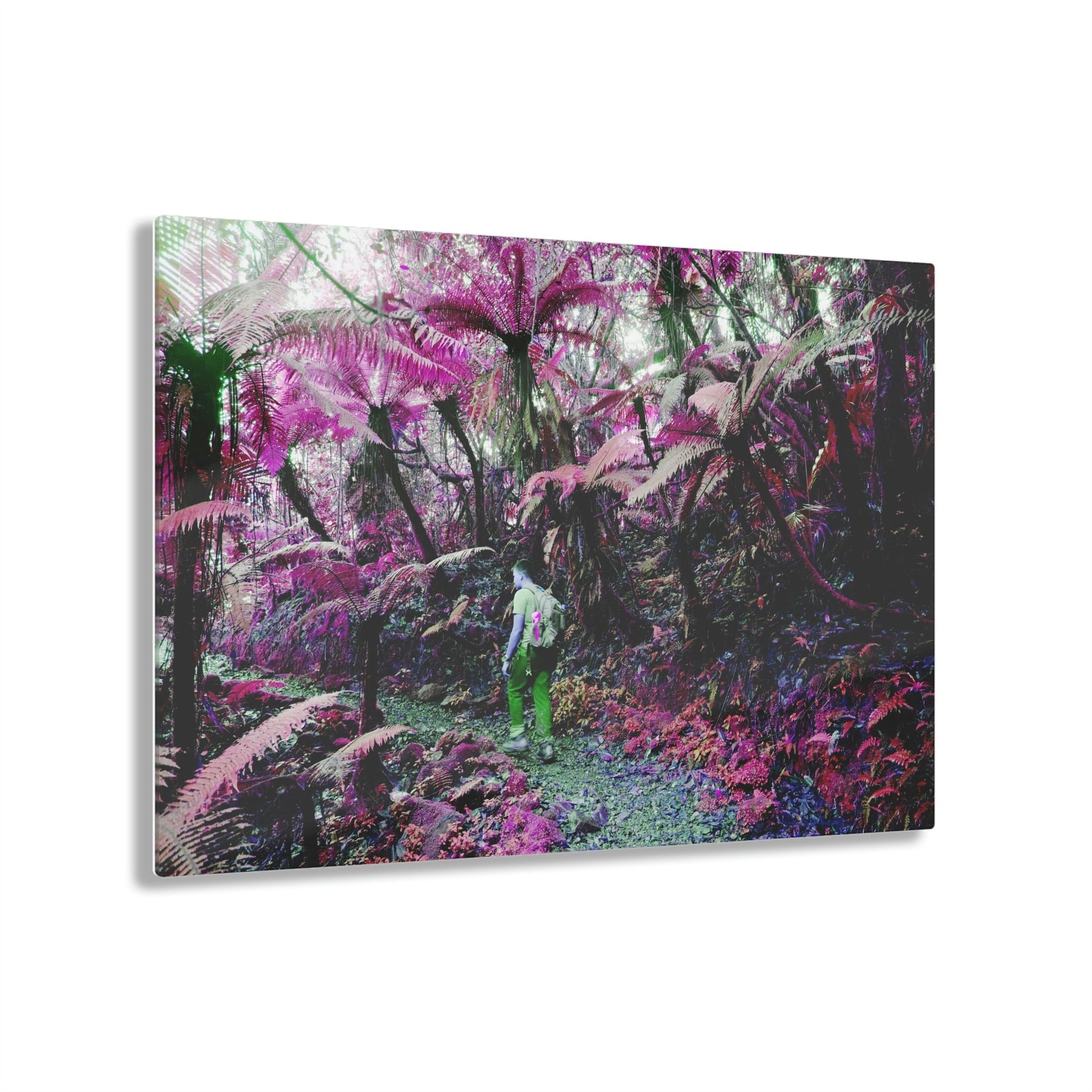 Acrylic Prints - US Made - Ideal for a Stunning Home/Office Decor Ideas - El Yunque Rainforest - Jose on the Cloud Forest - CCMM* - Green Forest Home