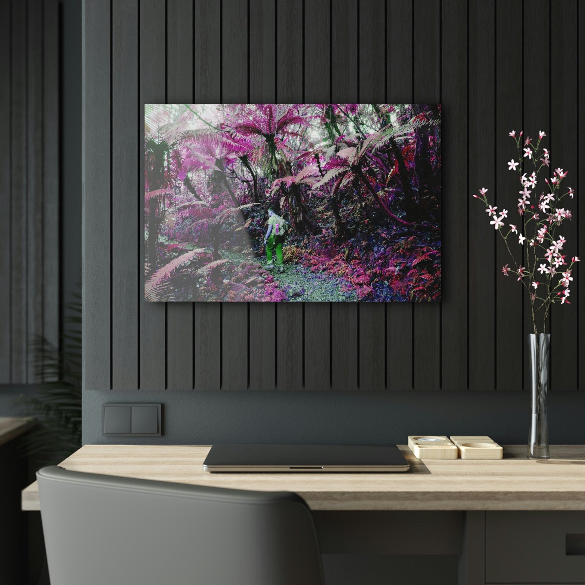 Acrylic Prints - US Made - Ideal for a Stunning Home/Office Decor Ideas - El Yunque Rainforest - Jose on the Cloud Forest - CCMM* - Green Forest Home