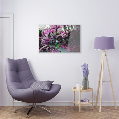 Acrylic Prints - US Made - Ideal for a Stunning Home/Office Decor Ideas - El Yunque Rainforest - Jose on the Cloud Forest - CCMM* - Green Forest Home