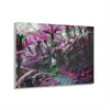 Acrylic Prints - US Made - Ideal for a Stunning Home/Office Decor Ideas - El Yunque Rainforest - Jose on the Cloud Forest - CCMM* - Green Forest Home