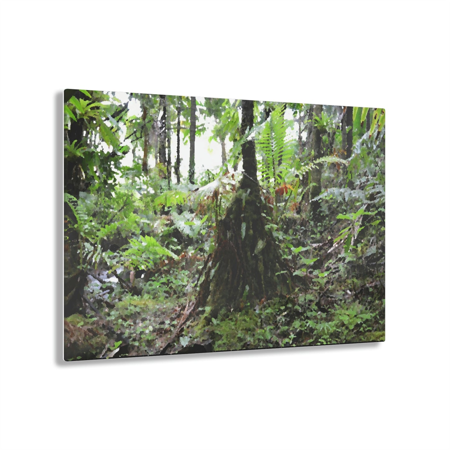 Acrylic Prints - US Made - Ideal for a Stunning Home/Office Decor Ideas - El Yunque Rainforest - Sierra Palm near road 930 as painting - CCMM* - Green Forest Home