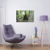 Acrylic Prints - US Made - Ideal for a Stunning Home/Office Decor Ideas - El Yunque Rainforest - Sierra Palm near road 930 as painting - CCMM* - Green Forest Home