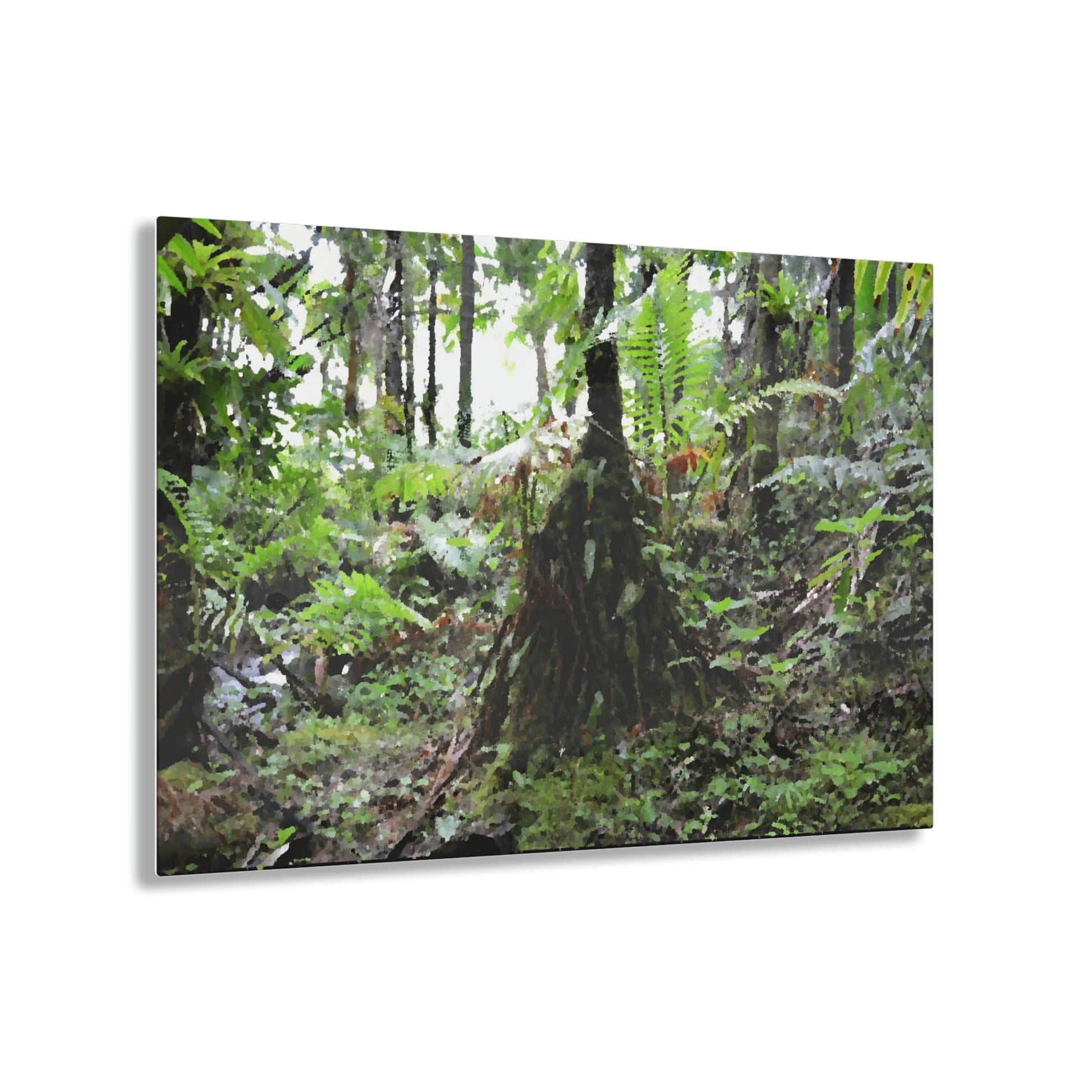 Acrylic Prints - US Made - Ideal for a Stunning Home/Office Decor Ideas - El Yunque Rainforest - Sierra Palm near road 930 as painting - CCMM* - Green Forest Home