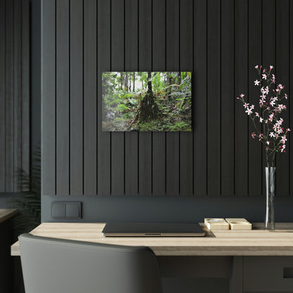 Acrylic Prints - US Made - Ideal for a Stunning Home/Office Decor Ideas - El Yunque Rainforest - Sierra Palm near road 930 as painting - CCMM* - Green Forest Home