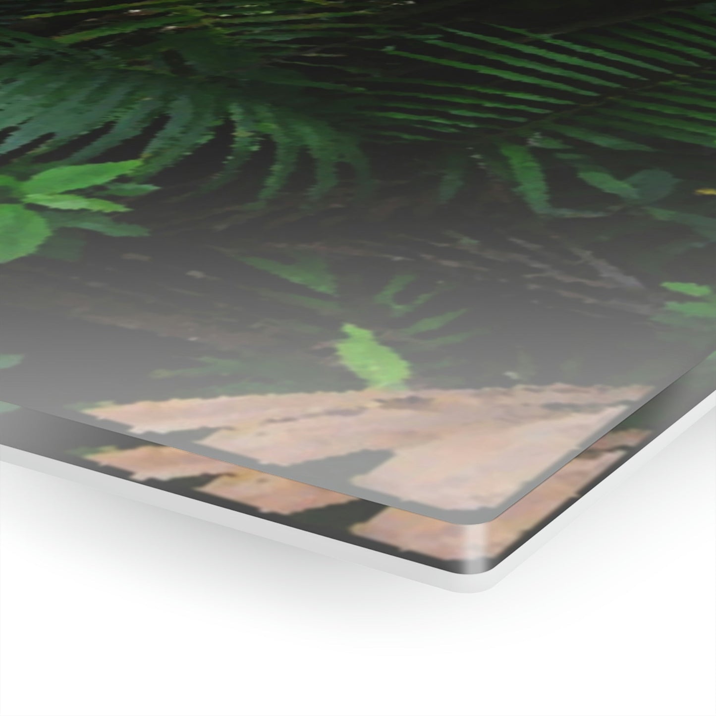 Acrylic Prints - US Made - Ideal for a Stunning Home/Office Decor Ideas - El Yunque Rainforest - Sierra Palm with seeds as Painting - CCMM* - Green Forest Home