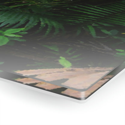 Acrylic Prints - US Made - Ideal for a Stunning Home/Office Decor Ideas - El Yunque Rainforest - Sierra Palm with seeds as Painting - CCMM* - Green Forest Home