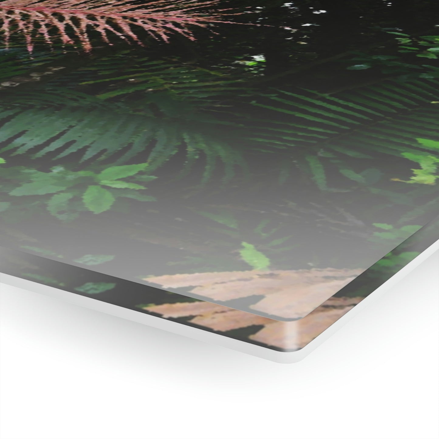 Acrylic Prints - US Made - Ideal for a Stunning Home/Office Decor Ideas - El Yunque Rainforest - Sierra Palm with seeds as Painting - CCMM* - Green Forest Home
