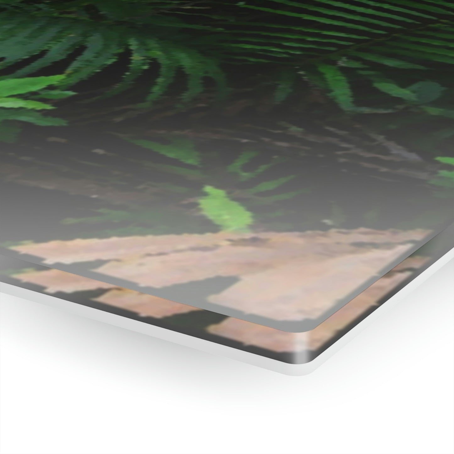 Acrylic Prints - US Made - Ideal for a Stunning Home/Office Decor Ideas - El Yunque Rainforest - Sierra Palm with seeds as Painting - CCMM* - Green Forest Home