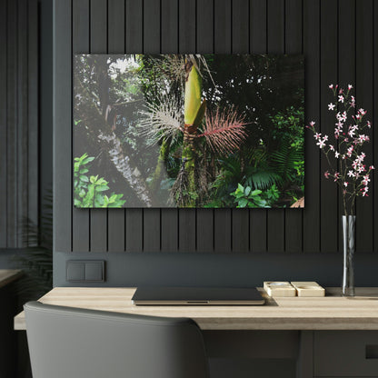 Acrylic Prints - US Made - Ideal for a Stunning Home/Office Decor Ideas - El Yunque Rainforest - Sierra Palm with seeds as Painting - CCMM* - Green Forest Home