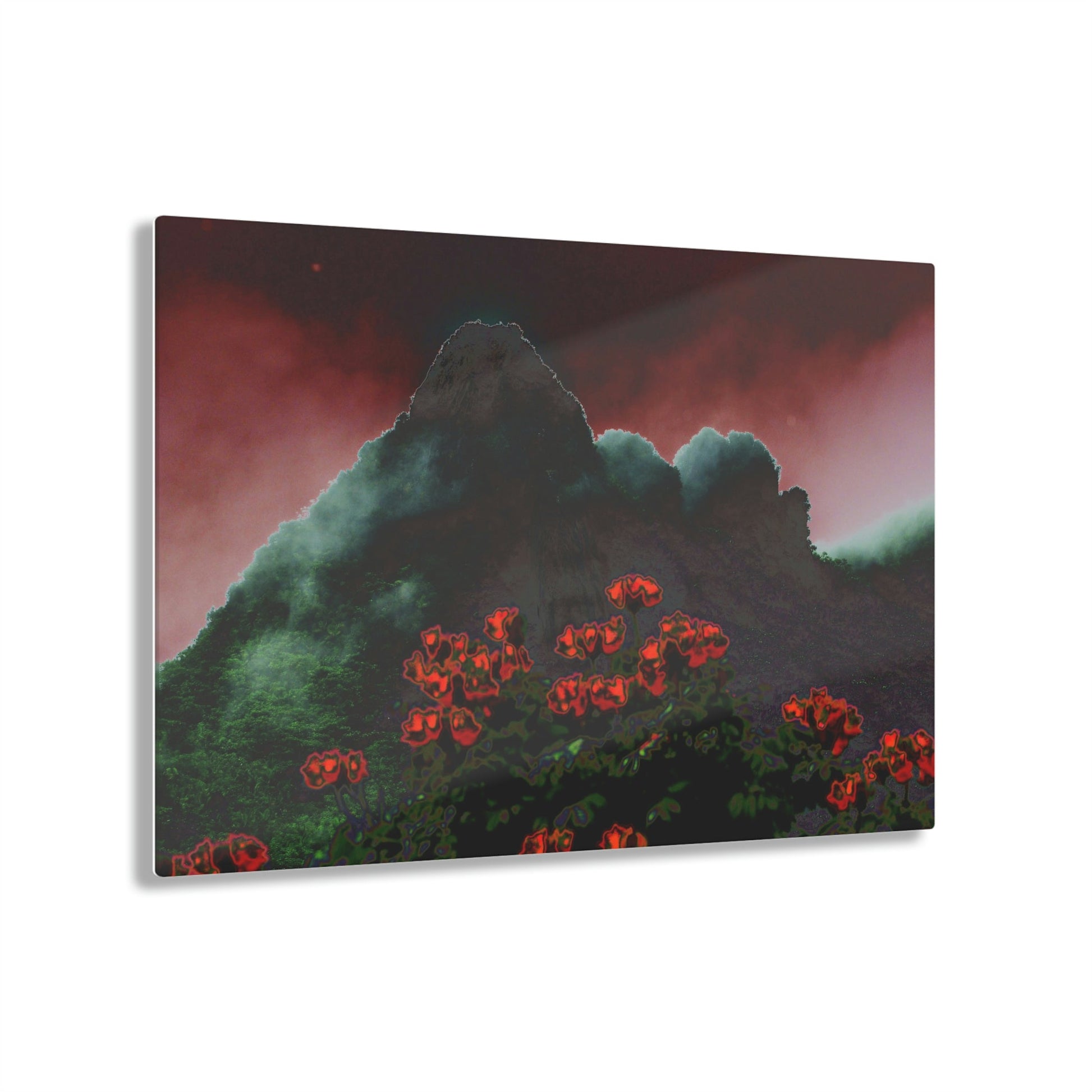 Acrylic Prints - US Made - Ideal for a Stunning Home/Office Decor Ideas - El Yunque Rainforest - Telephoto View from Yokahu Tower - CCMM* - Green Forest Home