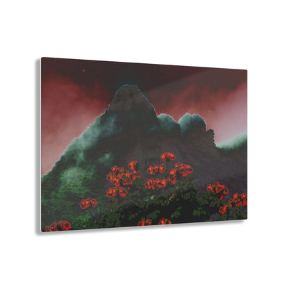 Acrylic Prints - US Made - Ideal for a Stunning Home/Office Decor Ideas - El Yunque Rainforest - Telephoto View from Yokahu Tower - CCMM* - Green Forest Home