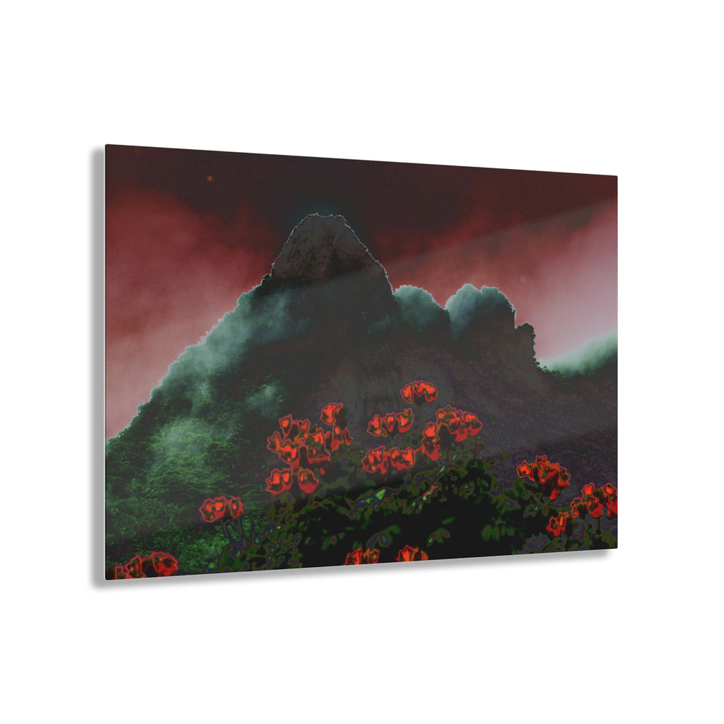 Acrylic Prints - US Made - Ideal for a Stunning Home/Office Decor Ideas - El Yunque Rainforest - Telephoto View from Yokahu Tower - CCMM* - Green Forest Home