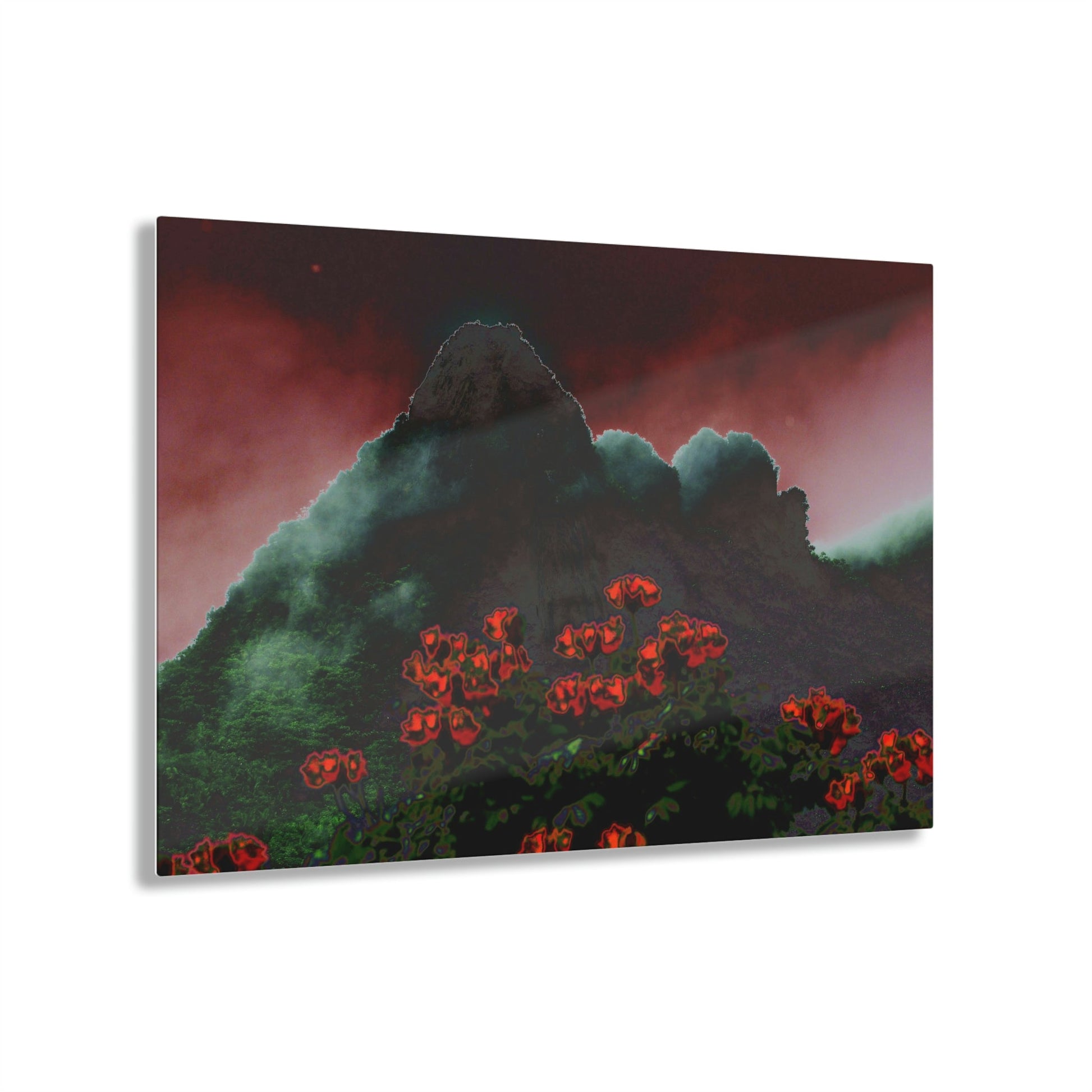 Acrylic Prints - US Made - Ideal for a Stunning Home/Office Decor Ideas - El Yunque Rainforest - Telephoto View from Yokahu Tower - CCMM* - Green Forest Home