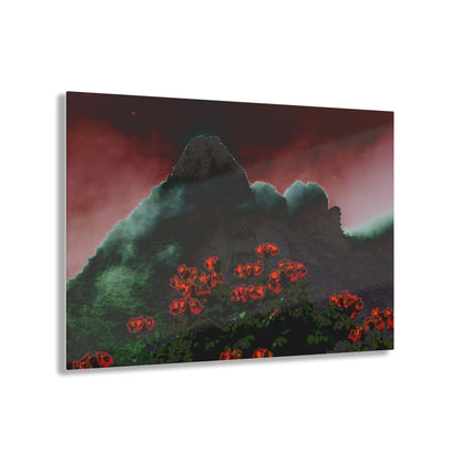Acrylic Prints - US Made - Ideal for a Stunning Home/Office Decor Ideas - El Yunque Rainforest - Telephoto View from Yokahu Tower - CCMM* - Green Forest Home