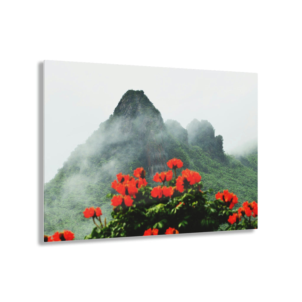 Acrylic Prints - US Made - Ideal for a Stunning Home/Office Decor Ideas - El Yunque Rainforest - Telephoto View from Yokahu Tower - CCMM* - Green Forest Home
