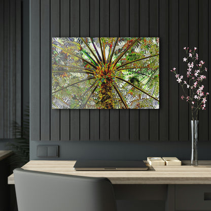 Acrylic Prints - US Made - Ideal for a Stunning Home/Office Decor Ideas - El Yunque Rainforest - The ancient Fern Palm - CCMM* - Green Forest Home
