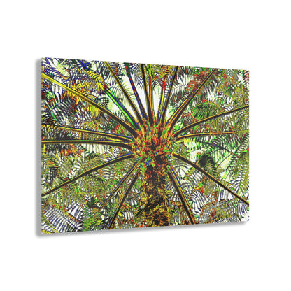Acrylic Prints - US Made - Ideal for a Stunning Home/Office Decor Ideas - El Yunque Rainforest - The ancient Fern Palm - CCMM* - Green Forest Home