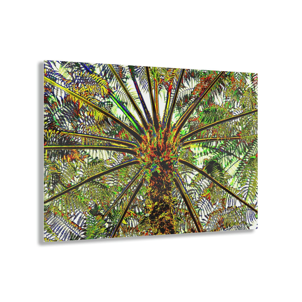 Acrylic Prints - US Made - Ideal for a Stunning Home/Office Decor Ideas - El Yunque Rainforest - The ancient Fern Palm - CCMM* - Green Forest Home