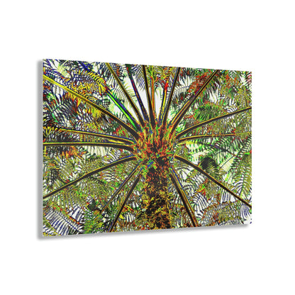 Acrylic Prints - US Made - Ideal for a Stunning Home/Office Decor Ideas - El Yunque Rainforest - The ancient Fern Palm - CCMM* - Green Forest Home