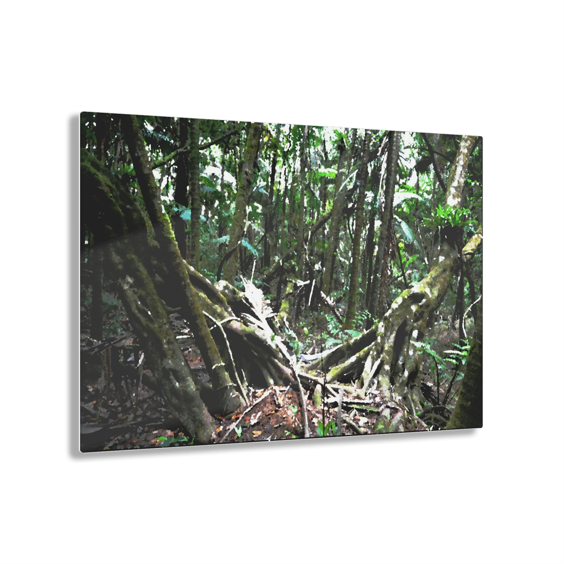 Acrylic Prints - US Made - Ideal for a Stunning Home/Office Decor Ideas - El Yunque Rainforest - The Early Holy Spirit River as painting - CCMM* - Green Forest Home