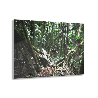 Acrylic Prints - US Made - Ideal for a Stunning Home/Office Decor Ideas - El Yunque Rainforest - The Early Holy Spirit River as painting - CCMM* - Green Forest Home